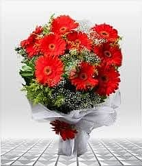 kırmızı gerbera buketi